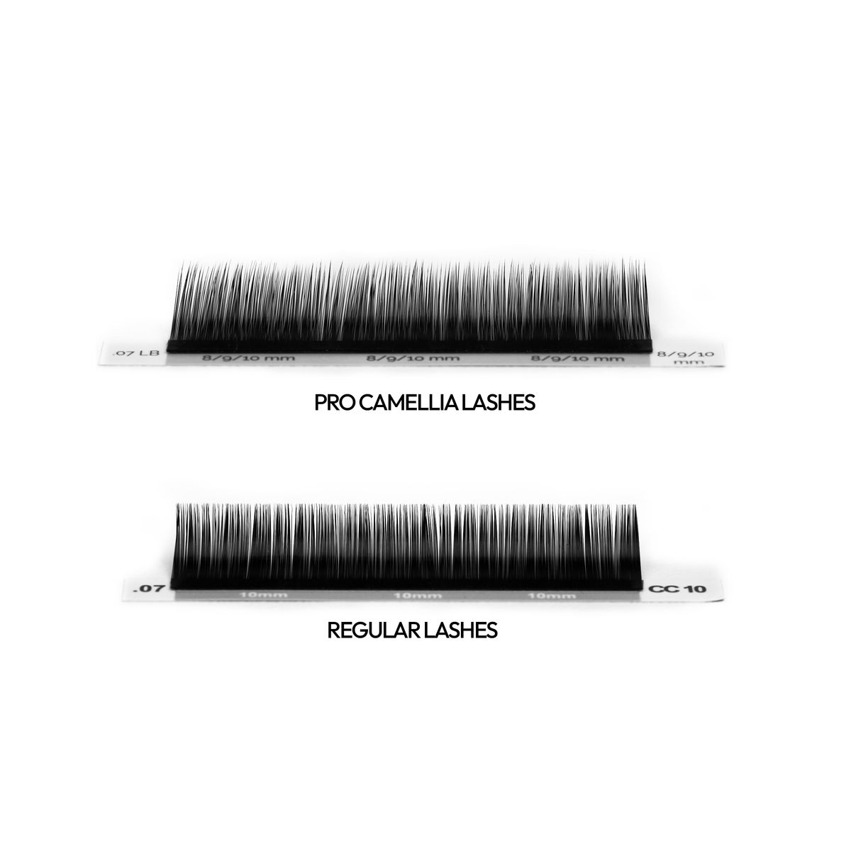 NEW Pro Camellia Lashes