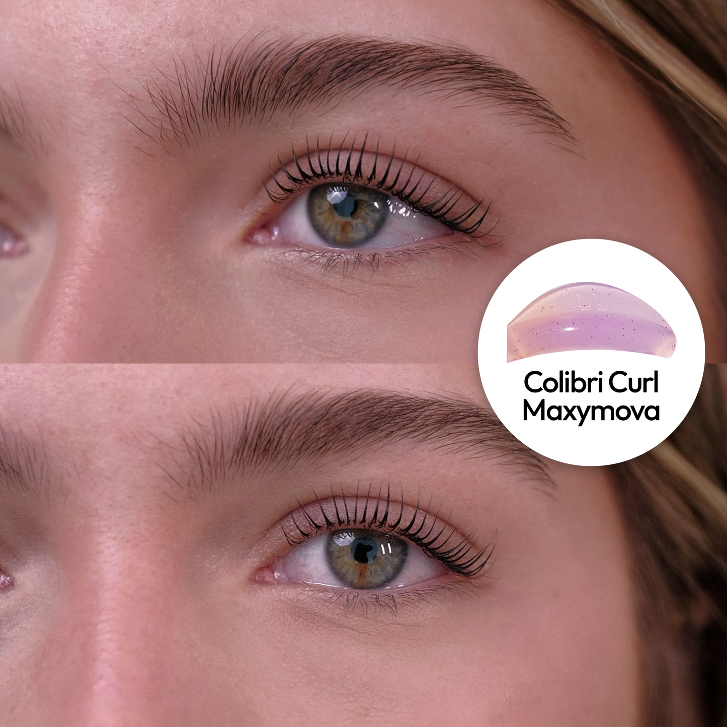 Colibri Pads - Maxymova