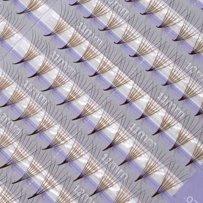 Color Premade Mixtas
