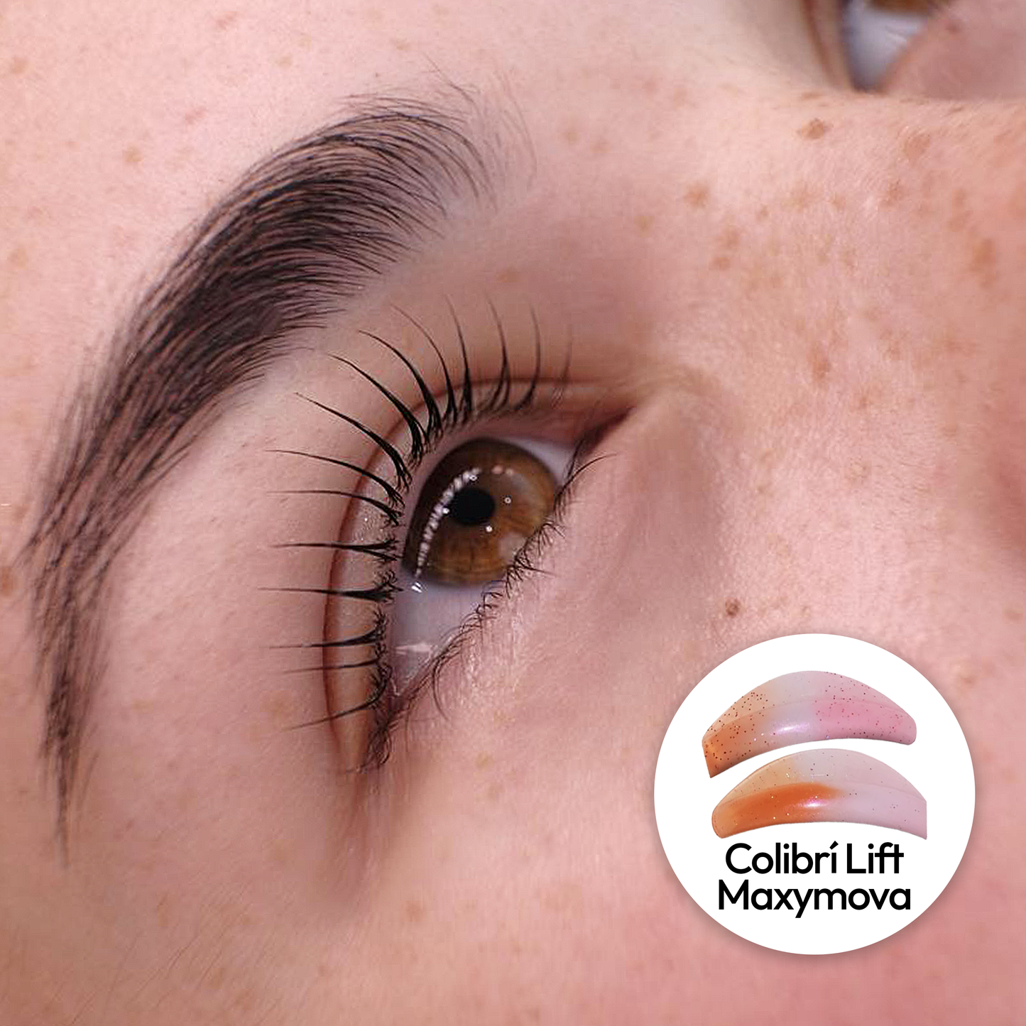 Colibri Pads - Maxymova