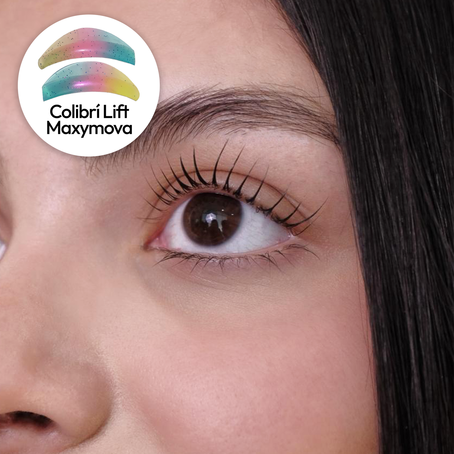 Colibri Pads - Maxymova