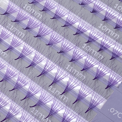 Color Premade Mixtas